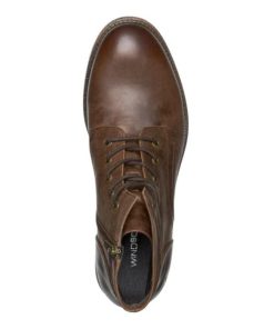 Steadypace.shop7242991523 3