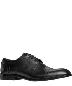 Steadypace.shop739f488251 2