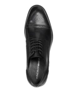 Steadypace.shop739f488251 3