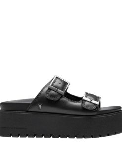 Steadypace.shop75ef0671ff 1