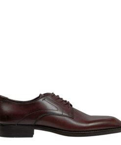 Steadypace.shop7669af1931 1