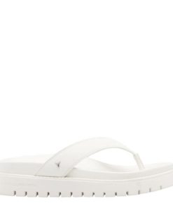 Steadypace.shop7682726687 1