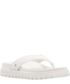 Steadypace.shop7682726687 2