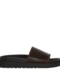 Steadypace.shop7940f1af24 1