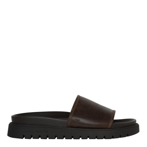 Steadypace.shop7940f1af24 1