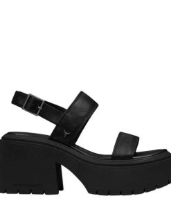 Steadypace.shop7f4c58ec8e 1