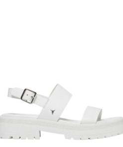 Steadypace.shop82f9e4c734 1