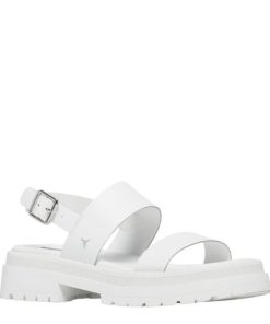 Steadypace.shop82f9e4c734 3