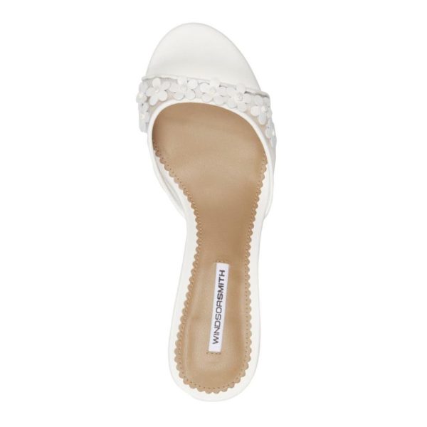 Steadypace.shop86c6c3111d 2