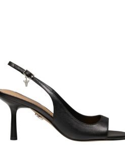 Steadypace.shop87a9b52913 1