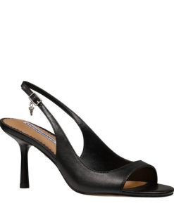 Steadypace.shop87a9b52913 2