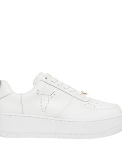 Steadypace.shop8903895277 1