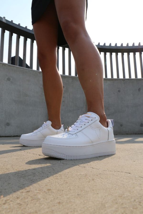 Steadypace.shop8903895277 2