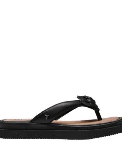 Steadypace.shop8b9a4a381f 1