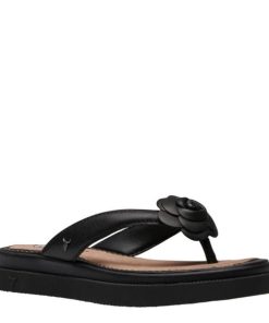 Steadypace.shop8b9a4a381f 2