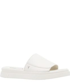 Steadypace.shop8d75b302ff 2