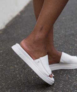 Steadypace.shop8d75b302ff 4