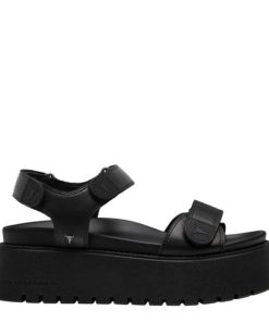 Steadypace.shop8f9a58a5e5 1