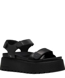 Steadypace.shop8f9a58a5e5 2