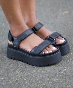 Steadypace.shop8f9a58a5e5 3