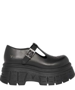 Steadypace.shop911ecbc361 1