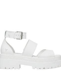 Steadypace.shop947212951b 1