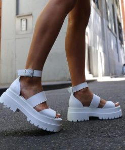 Steadypace.shop947212951b 2