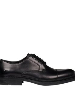 Steadypace.shop9768315dce 1