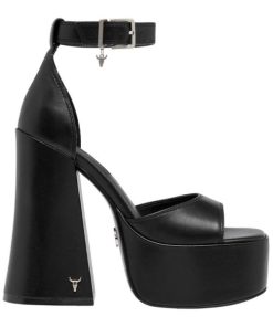 Steadypace.shop976fa77ab0 1