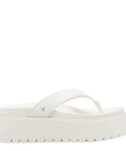 Steadypace.shop9e49e627ff 1