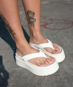 Steadypace.shop9e49e627ff 3