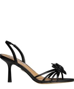 Steadypace.shop9e57d6c064 2