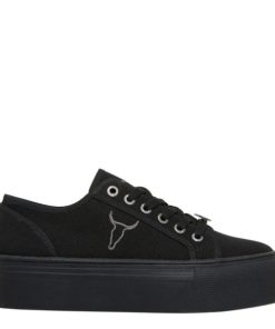 Steadypace.shop9f2e429ce6 1