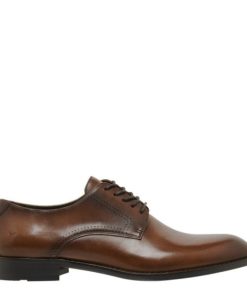 Steadypace.shopa1ebd5478e 1