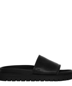 Steadypace.shopa7ab55fd62 1