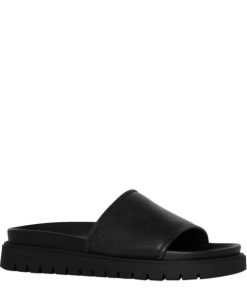 Steadypace.shopa7ab55fd62 2