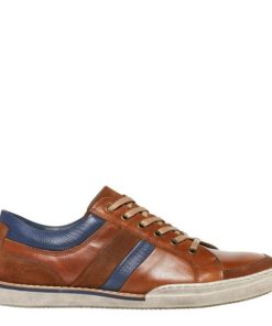 Steadypace.shopb37f30f33f 1