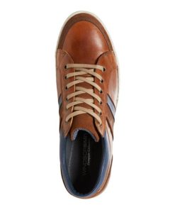 Steadypace.shopb37f30f33f 3