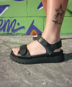 Steadypace.shopb6a2b66ce0 4