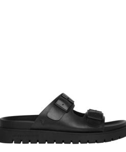 Steadypace.shopb7efe23bca 1