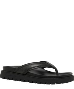 Steadypace.shopc22ae1865b 2