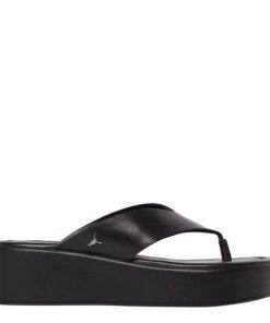 Steadypace.shopc35631a642 1