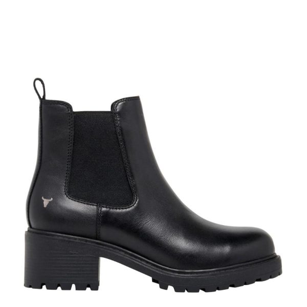 Steadypace.shopccb24bece5 1