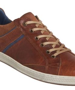 Steadypace.shopccd15f5089 2