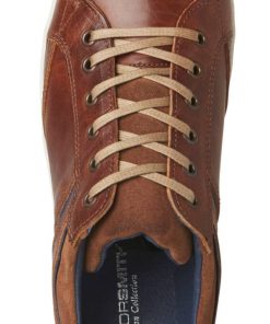 Steadypace.shopccd15f5089 3