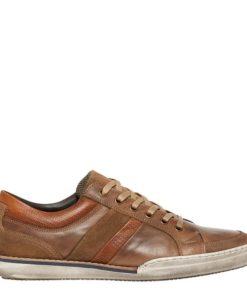 Steadypace.shopcd9d9c5393 1