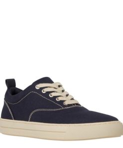 Steadypace.shopcdb0ed2fd8 2