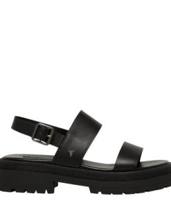 Steadypace.shopce4fd8083b 1