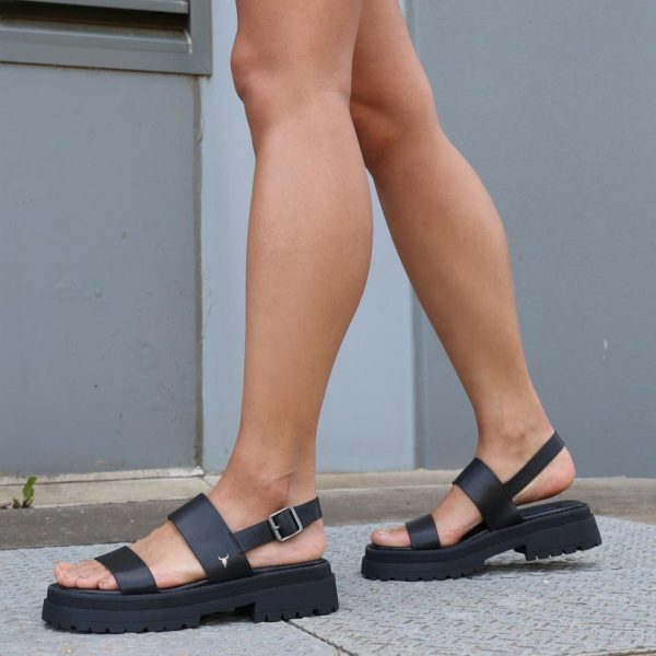 Steadypace.shopce4fd8083b 2