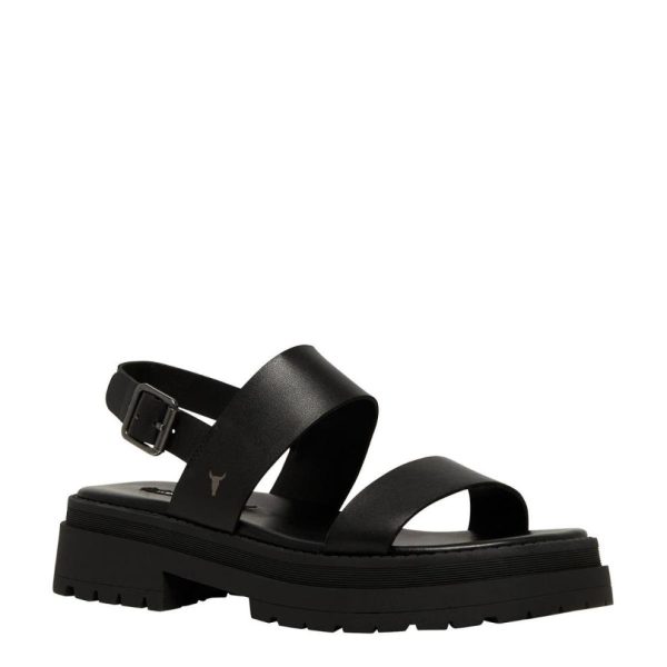 Steadypace.shopce4fd8083b 3